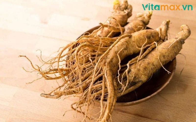 hồng sâm với người cao huyết áp
