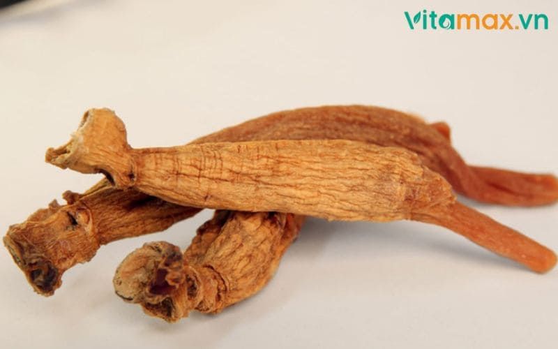 hồng sâm với người cao huyết áp