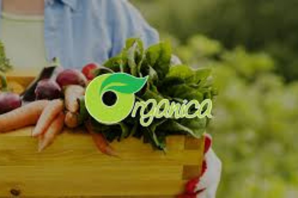 Hệ thống thực phẩm hữu cơ Organica, nơi khách hàng có thể tìm mua mật ong Manuka dòng organic.