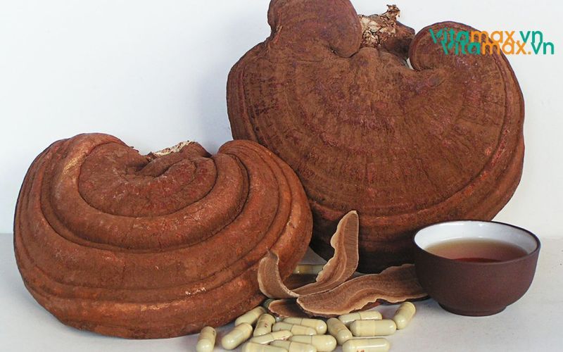 huyet-ap-thap-co-uong-nam-linh-chi-duoc-khong-1.jpg