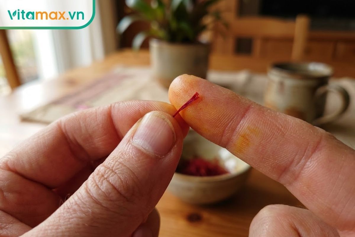Hai ngón tay đang cầm và chà nhẹ sợi nhụy hoa nghệ tây để kiểm tra xem có bị phai phẩm màu đỏ ra tay hay không.