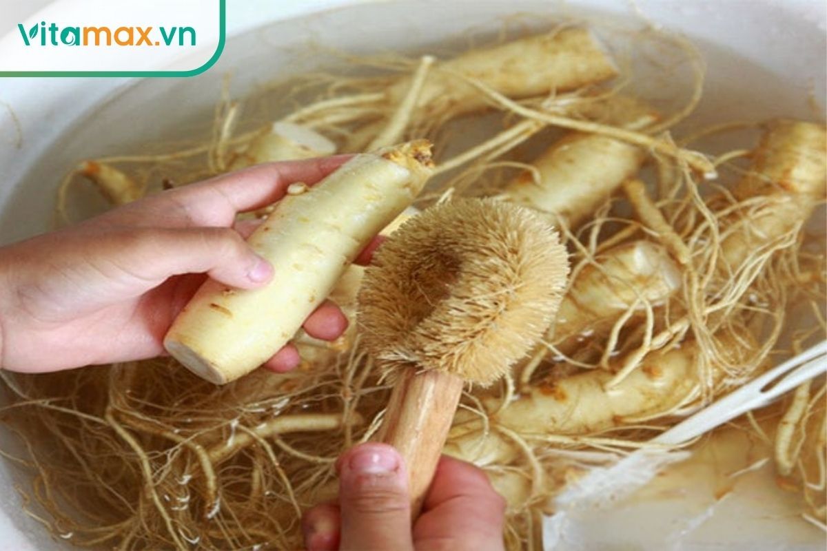 Làm sạch sâm tươi cẩn thận trước khi áp dụng cách bảo quản
