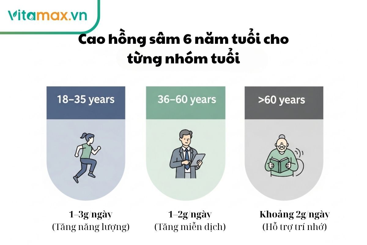 Infographic hướng dẫn liều dùng cao hồng sâm phù hợp cho từng độ tuổi: người trẻ, người trung niên và người cao tuổi.