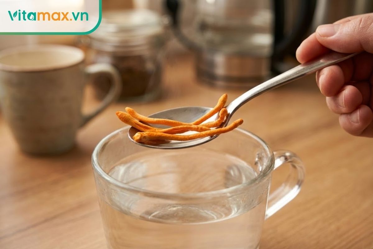 Một chiếc thìa sạch chứa đúng 3-5 sợi đông trùng hạ thảo tươi, minh họa cho một liều dùng tiêu chuẩn.