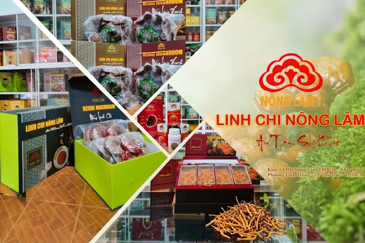 Hình ảnh sản phẩm nấm linh chi và đông trùng hạ thảo của thương hiệu Linh Chi Nông Lâm