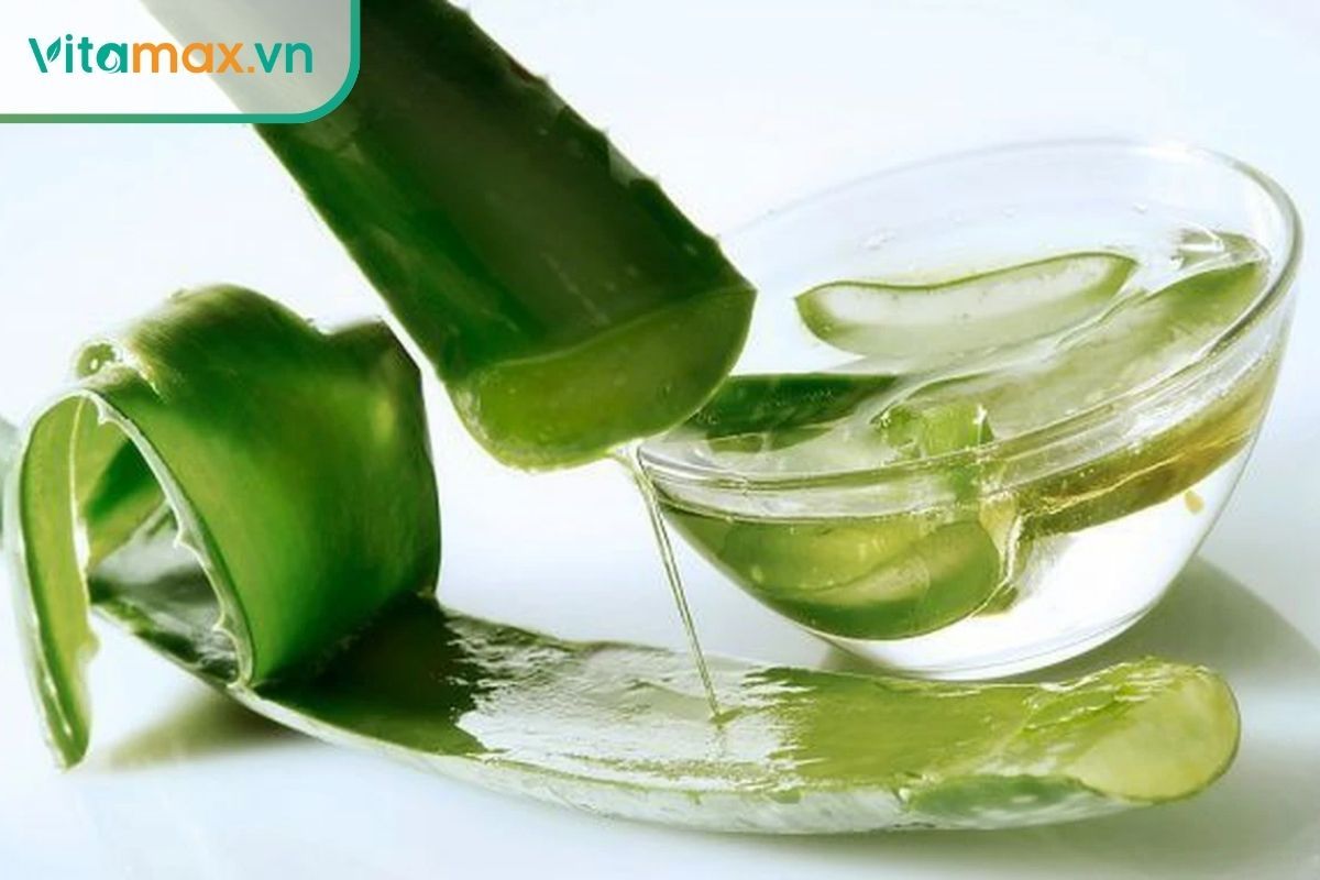 Lô hội không chỉ cấp ẩm và phục hồi da khô,mà giúp da đàn hồi hơn và giảm nếp nhăn nhỏ.