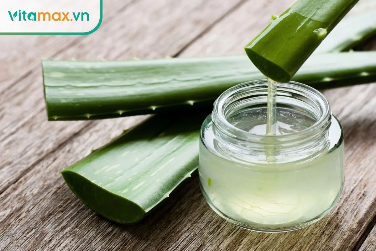 Lô hội là thảo dược chống lão hóa nổi tiếng, giúp cải thiện collagen và độ đàn hồi cho da.