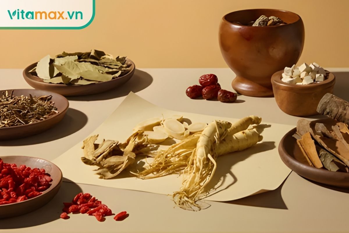 bố cục thảo dược tự nhiên gồm nhân sâm và các thành phần tượng trưng cho lợi ích sức khỏe