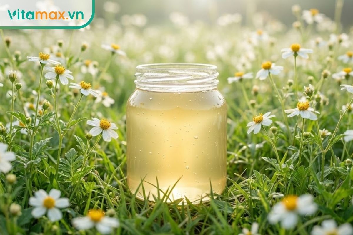 Ly mật ong hoa xuyến chi màu vàng nhạt nhẹ nhàng, đặt giữa cánh đồng hoa xuyến chi (hoa cứt lợn) nở rộ.