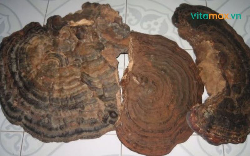 nam-linh-chi-bi-mot-1.jpg