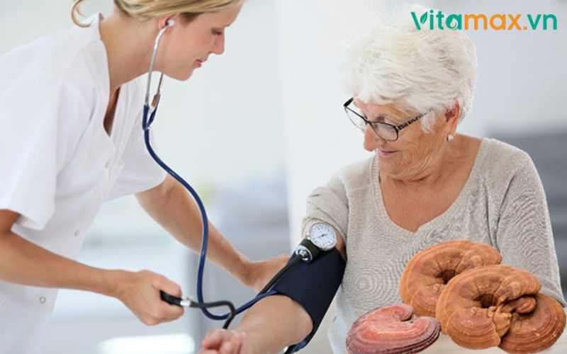 nấm linh chi chữa cao huyết áp