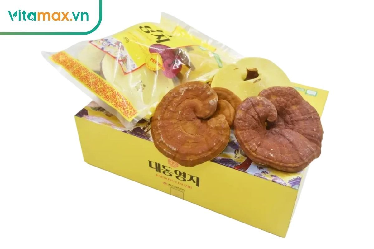 Nấm linh chi đỏ nguyên tai, thảo dược Hàn Quốc hỗ trợ điều hòa miễn dịch và giảm viêm.