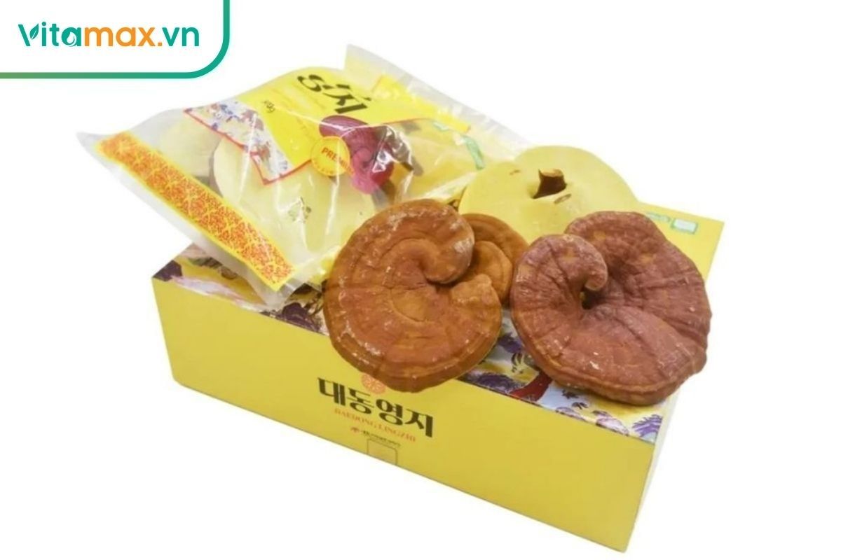 Nấm linh chi là thảo dược quý giúp ngăn ngừa viêm và tăng cường sức đề kháng.