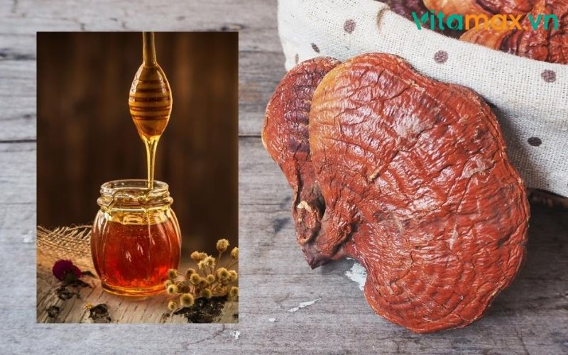 nấm linh chi ngâm rượu mật ong
