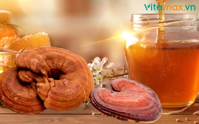 nấm linh chi ngâm rượu mật ong