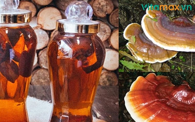 nấm linh chi ngâm rượu mật ong