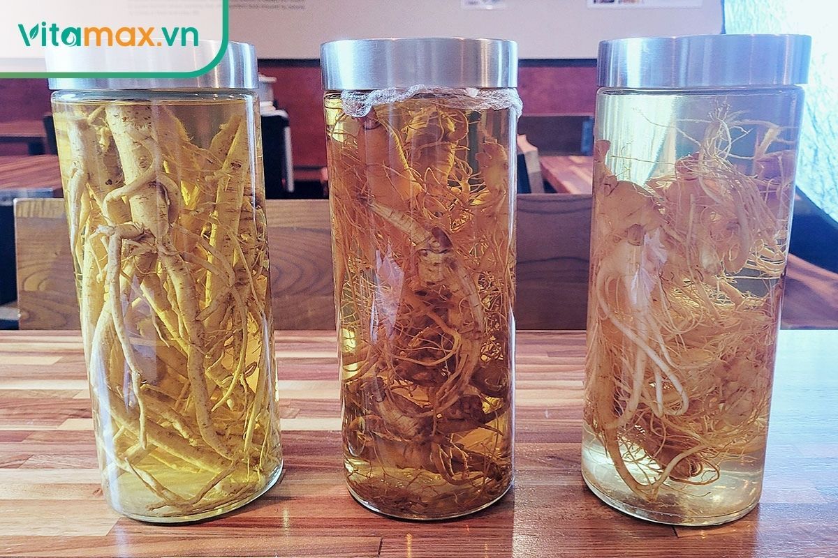sâm tươi được ngâm trong bình thủy tinh với rượu nếp trắng