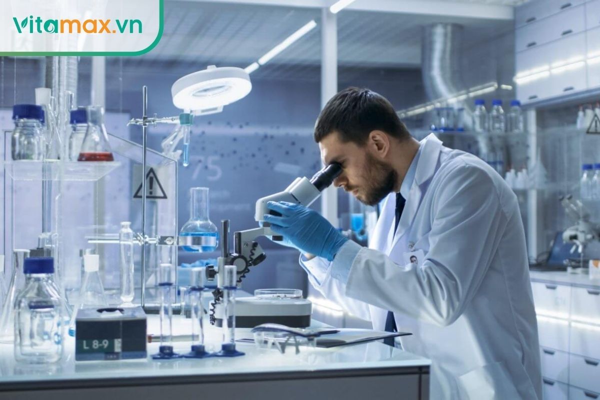 nghiên cứu tinh dầu thông đỏ giảm cân