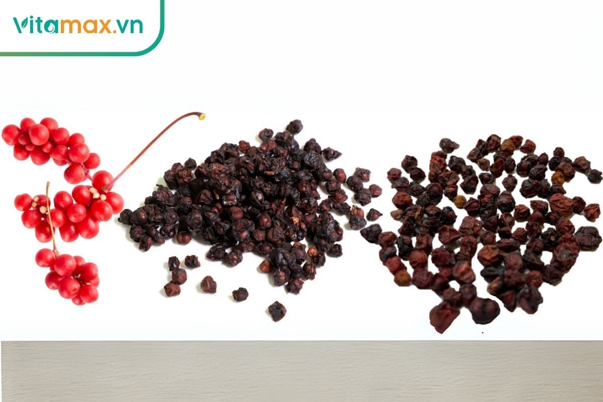 Ngũ vị tử Hàn Quốc chứa lignan bảo vệ gan, chống oxy hóa và có tiềm năng chống ung thư.