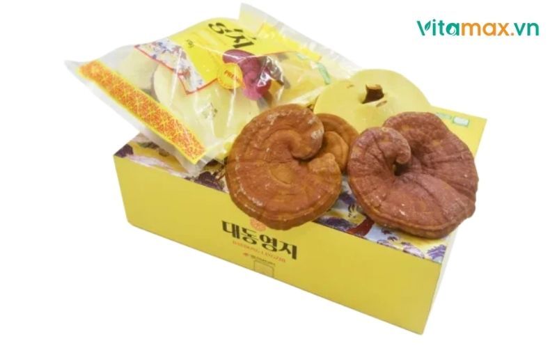 người gầy có nên uống nấm linh chi