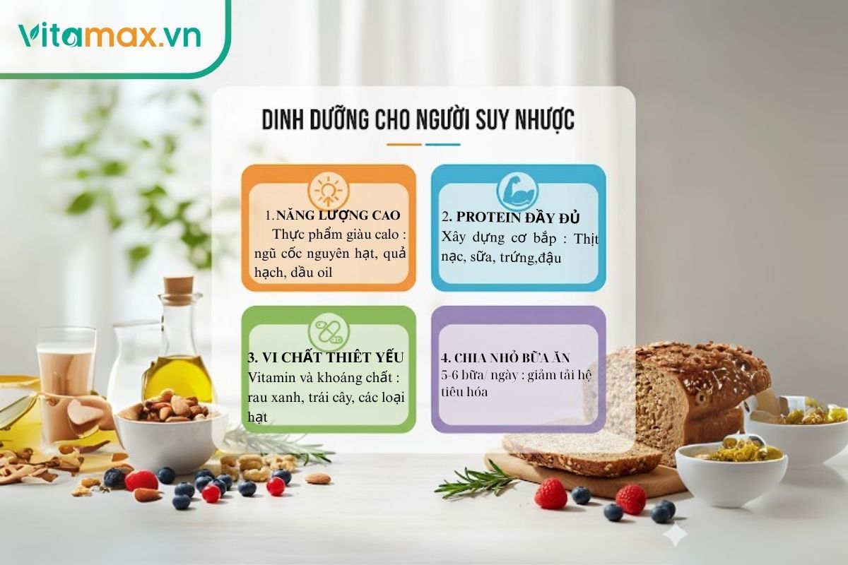 Infographic tóm tắt 4 nguyên tắc dinh dưỡng cho người suy nhược: năng lượng, protein, vi  chất và chia nhỏ bữa ăn.
