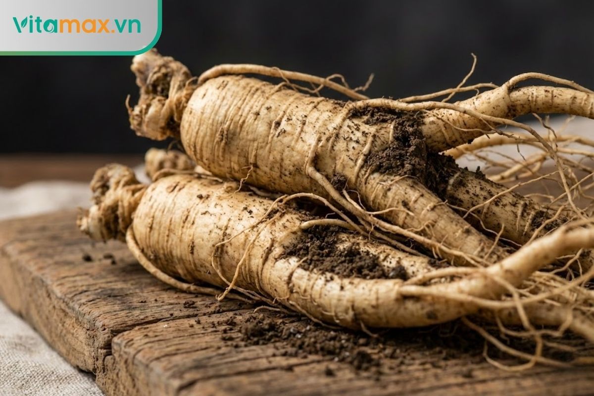 Cận cảnh củ nhân sâm Hàn Quốc 6 năm tuổi tươi nguyên củ còn bám đất
