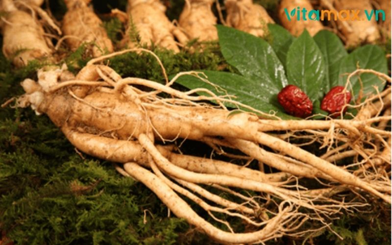 nhân sâm tốt cho sức khoẻ
