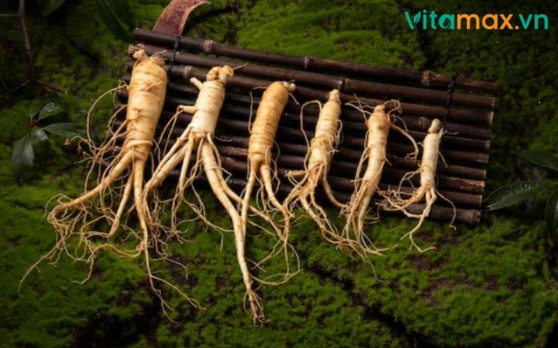 nhân sâm tốt cho sức khoẻ