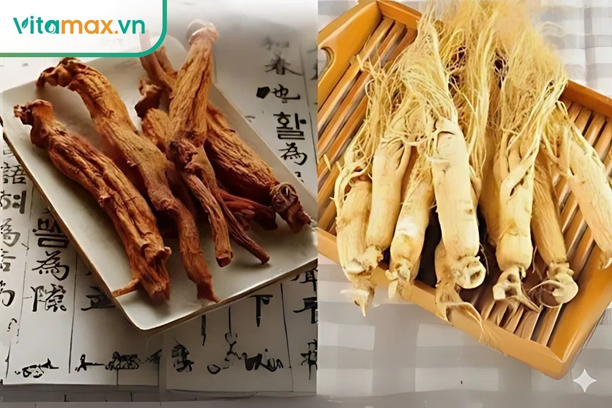 Nhân sâm tươi tính hàn, hồng sâm hấp sấy 6 năm có dược tính ổn định và bền lâu hơn.