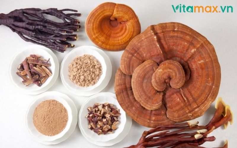 những người không nên dùng nấm linh chi