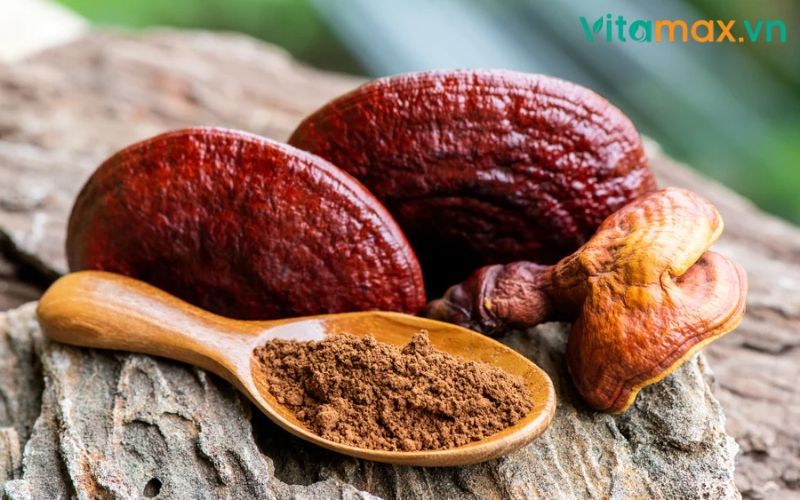 những người không nên dùng nấm linh chi