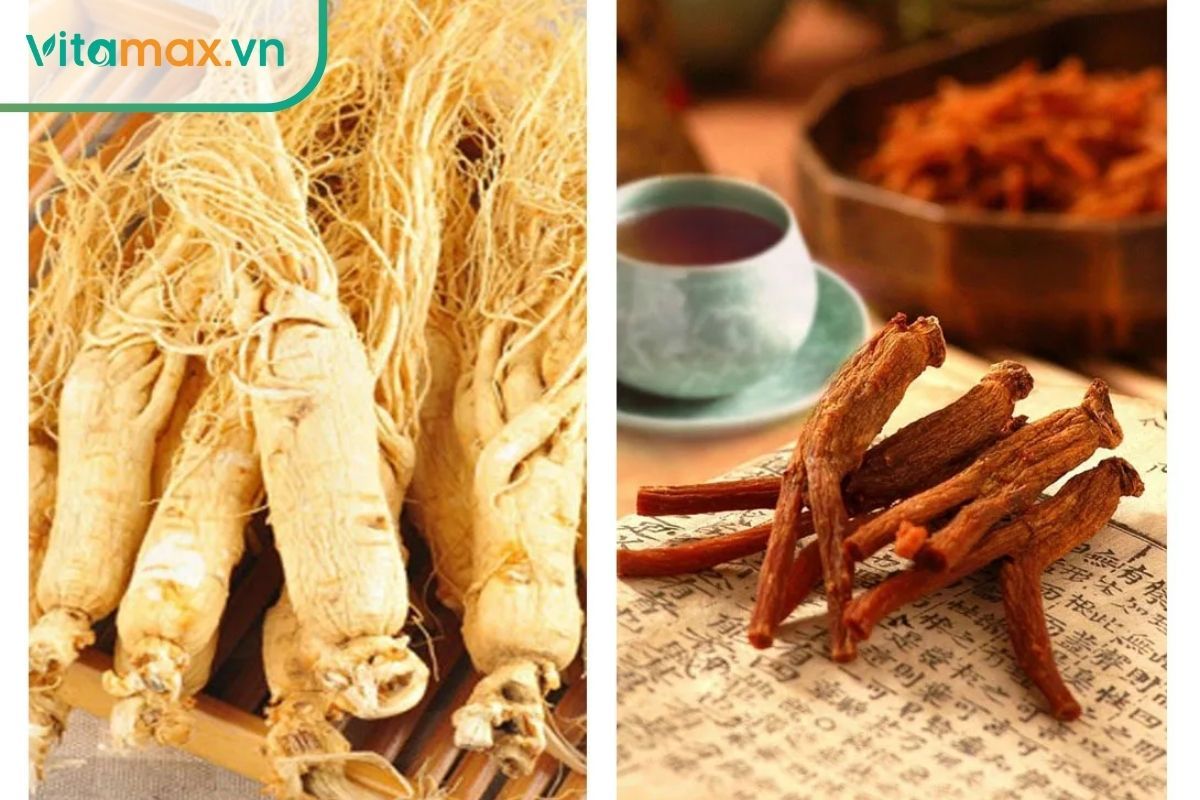 Hình ảnh so sánh trực quan hai củ nhân sâm tươi màu trắng ngà và củ hồng sâm khô màu nâu đỏ đặt cạnh nhau trên nền gỗ tự nhiên.