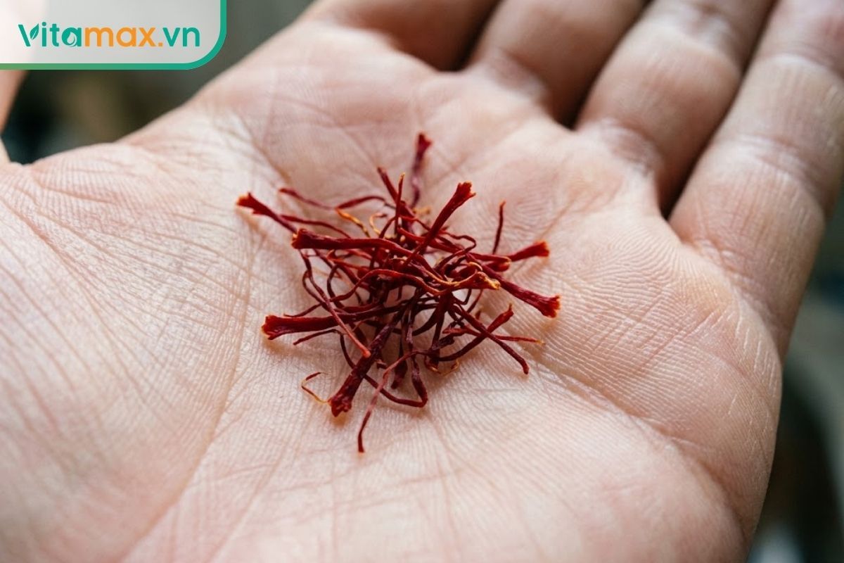 Cận cảnh các sợi saffron chính hãng màu đỏ đậm, phần đầu loe to, chất lượng cao đặt trên lòng bàn tay.
