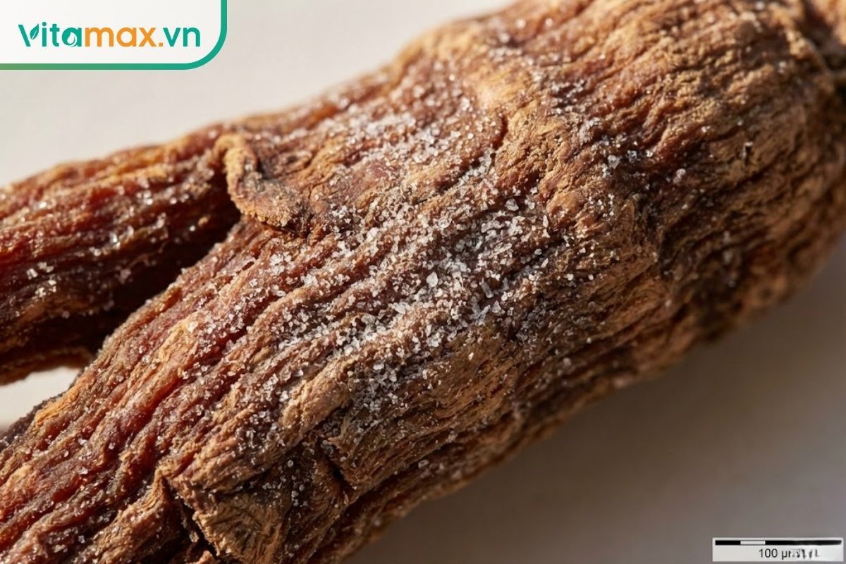 Cận cảnh lớp tuyết sâm trắng mịn kết tinh tự nhiên trên bề mặt sâm khô, phân biệt với nhân sâm bị mốc hỏng.