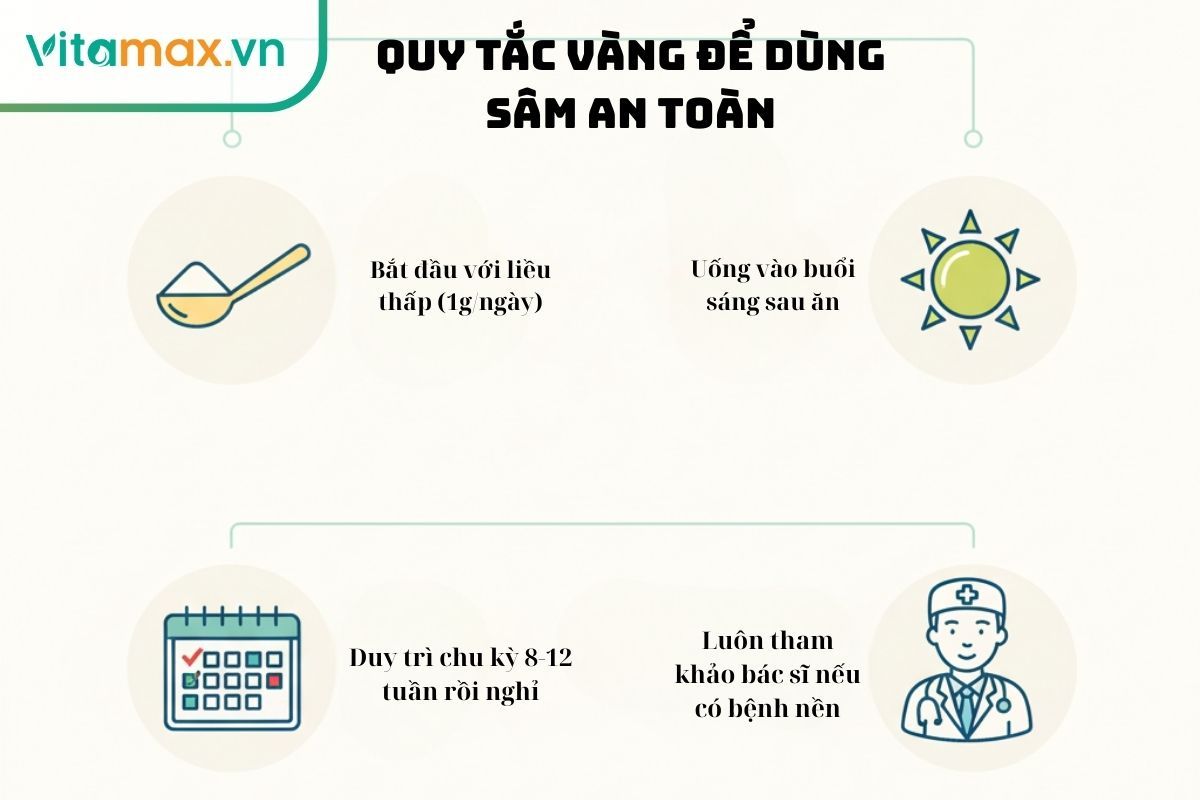 Infographic về 4 quy tắc vàng khi dùng sâm cho người huyết áp thấp: bắt đầu liều thấp, uống buổi sáng, dùng theo chu kỳ và tham khảo bác sĩ.