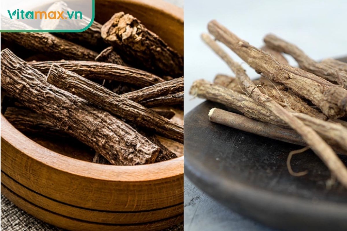 Rễ cam thảo có hiệu quả trong việc làm sáng da và hỗ trợ chống viêm