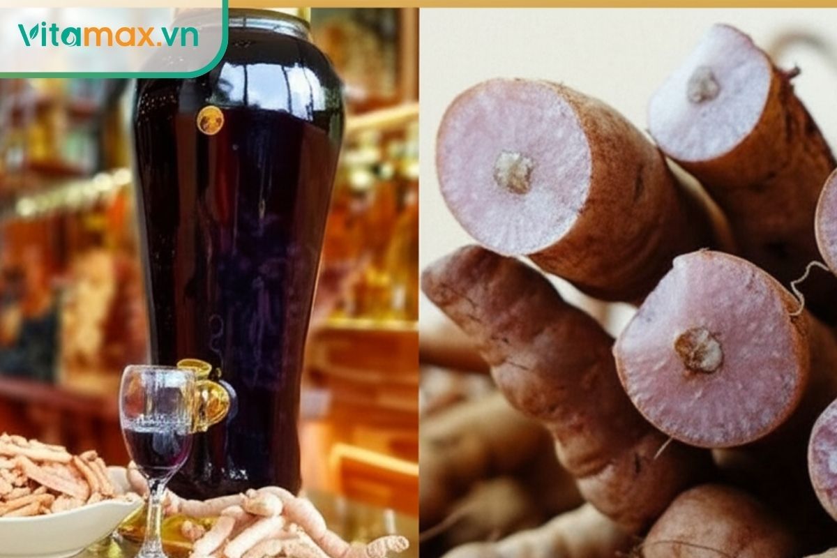 Rượu ba kích tím tăng sinh lý nam được sử dụng phổ biến trong các bài thuốc Đông y.