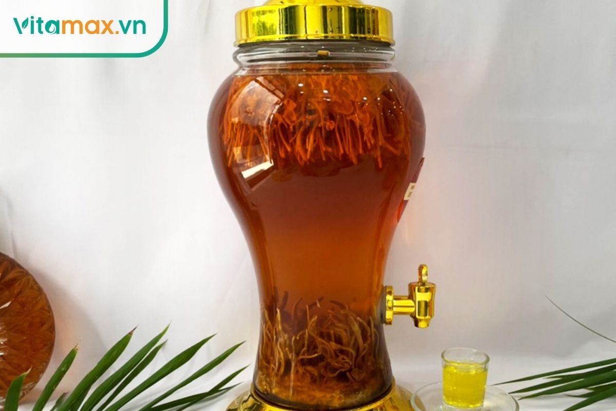 Rượu đông trùng hạ thảo nhóm thảo dược tốt cho thần kinh