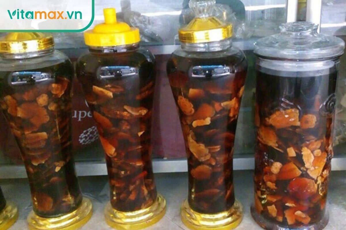 Rượu hà thủ ô bài thuốc ngâm rượu bồi bổ sức khỏe nổi tiếng