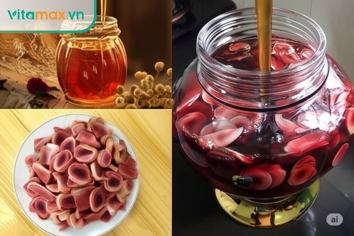 Rượu mật ong nhung hươu thích hợp cho người muốn tăng sức đề kháng