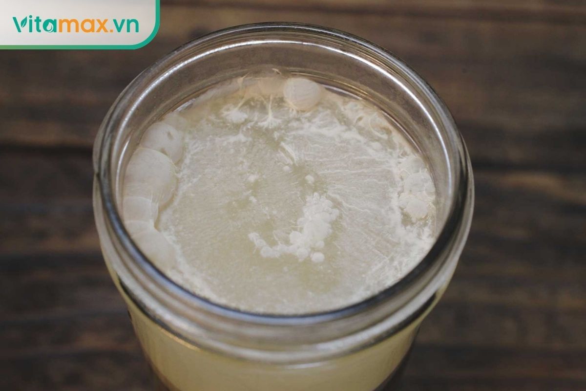 rượu sâm đông trùng bị đục và tách lớp do quá trình ngâm không đạt chuẩn