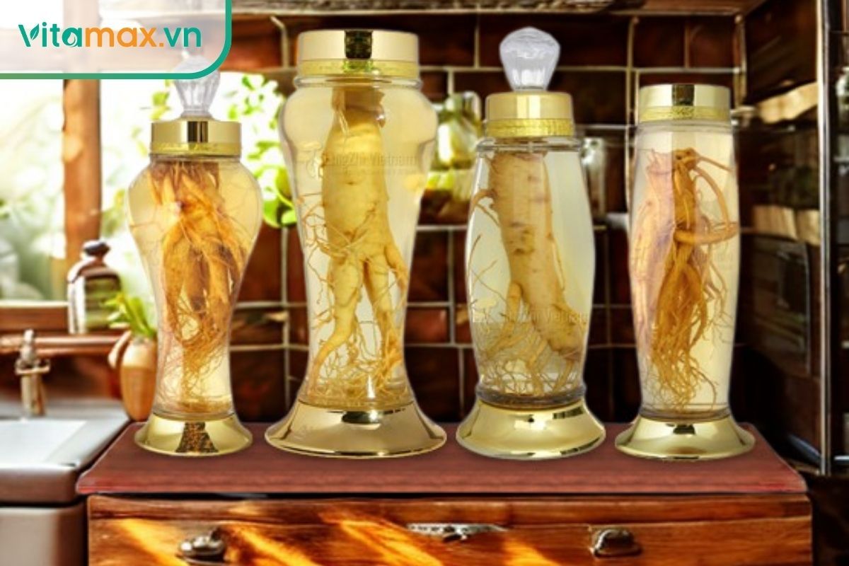 Bình rượu sâm tươi Hàn Quốc ủ 3–6 tháng