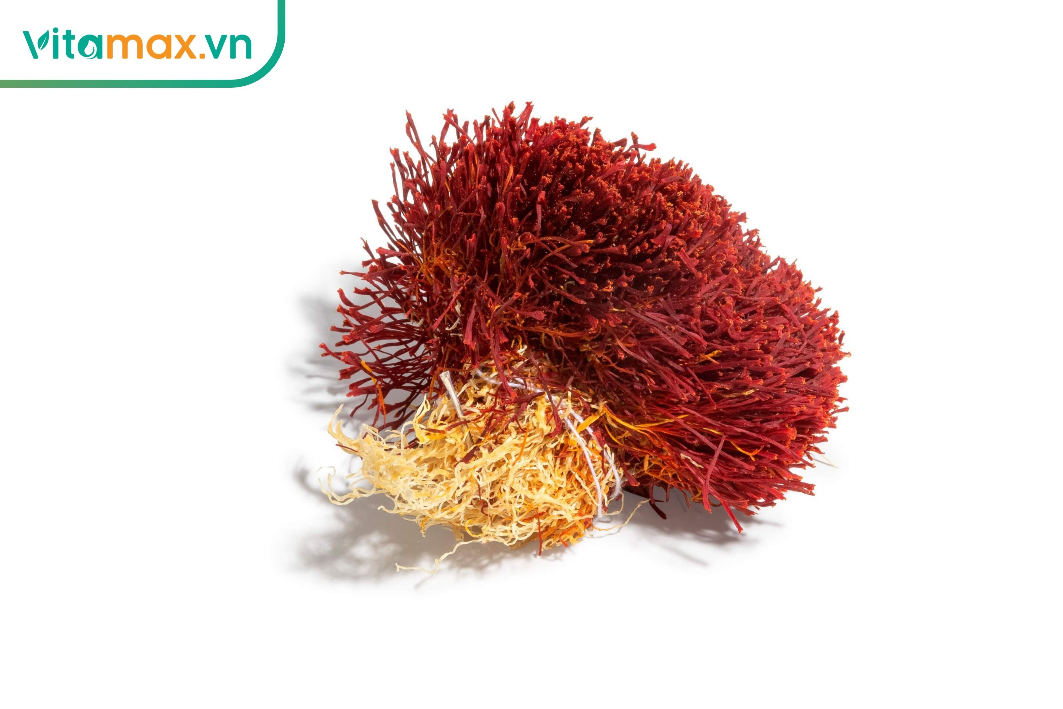 Bó saffron Bunch Dasteh gồm phần đỏ, vàng và trắng của sợi nhụy, minh họa dạng nhụy hoa nghệ tây nguyên sợi.