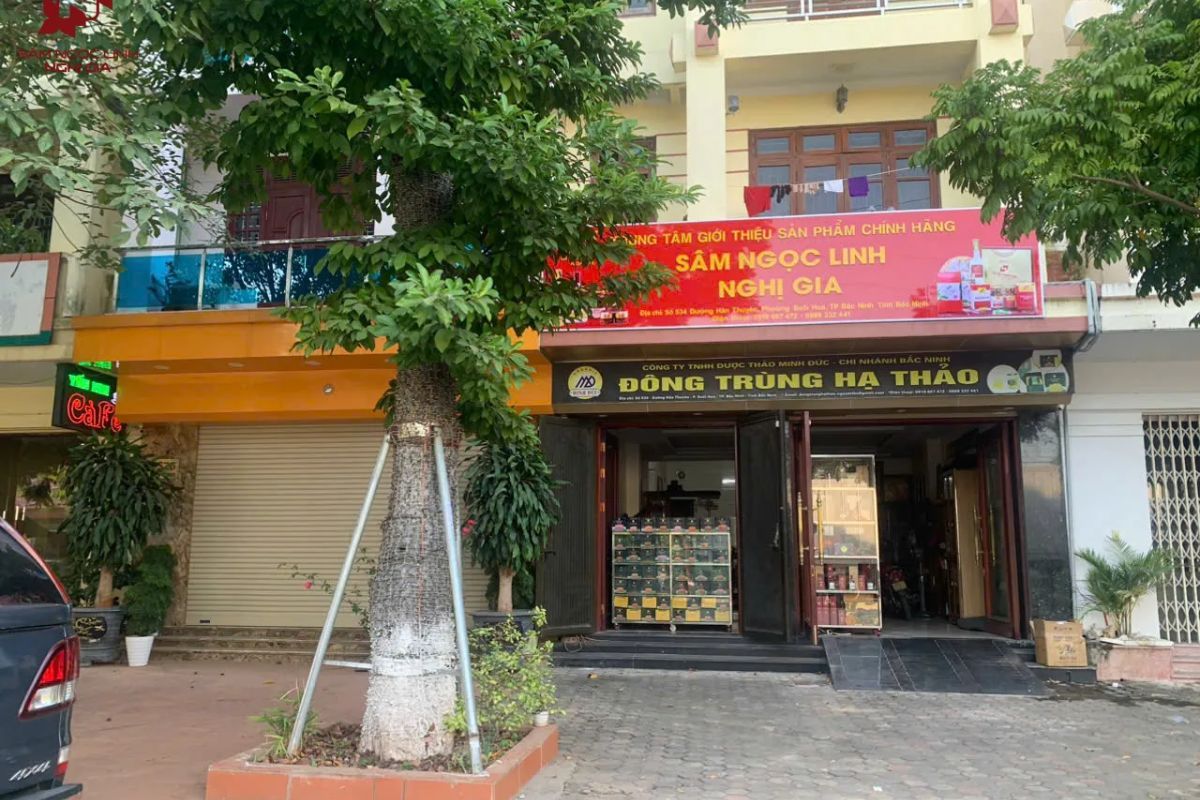 Mặt tiền cửa hàng trung tâm giới thiệu sản phẩm sâm Ngọc Linh Nghị Gia chính hãng kết hợp kinh doanh đông trùng hạ thảo cao cấp.