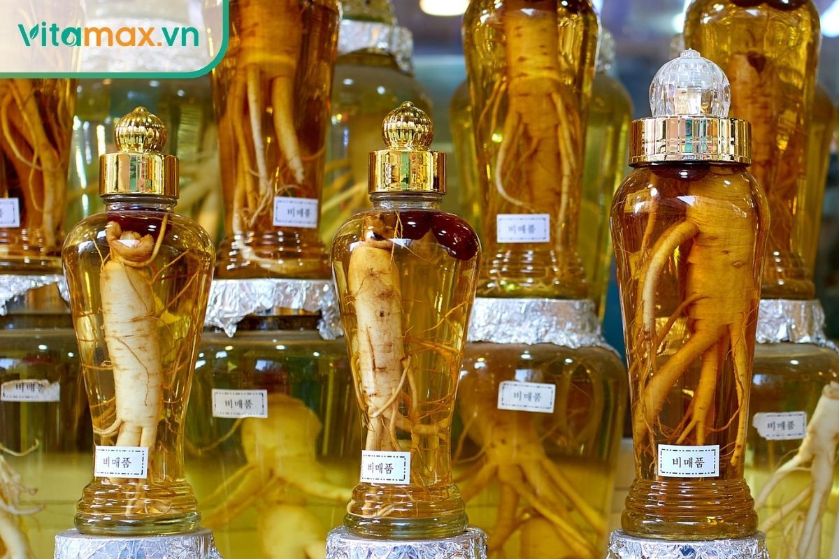 tác dụng của sâm tươi Hàn Quốc ngâm rượu