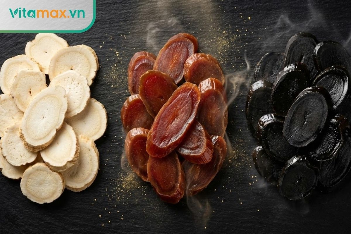 Hình ảnh so sánh màu sắc và hình dáng của Bạch sâm, Hồng sâm và Hắc sâm Hàn Quốc.