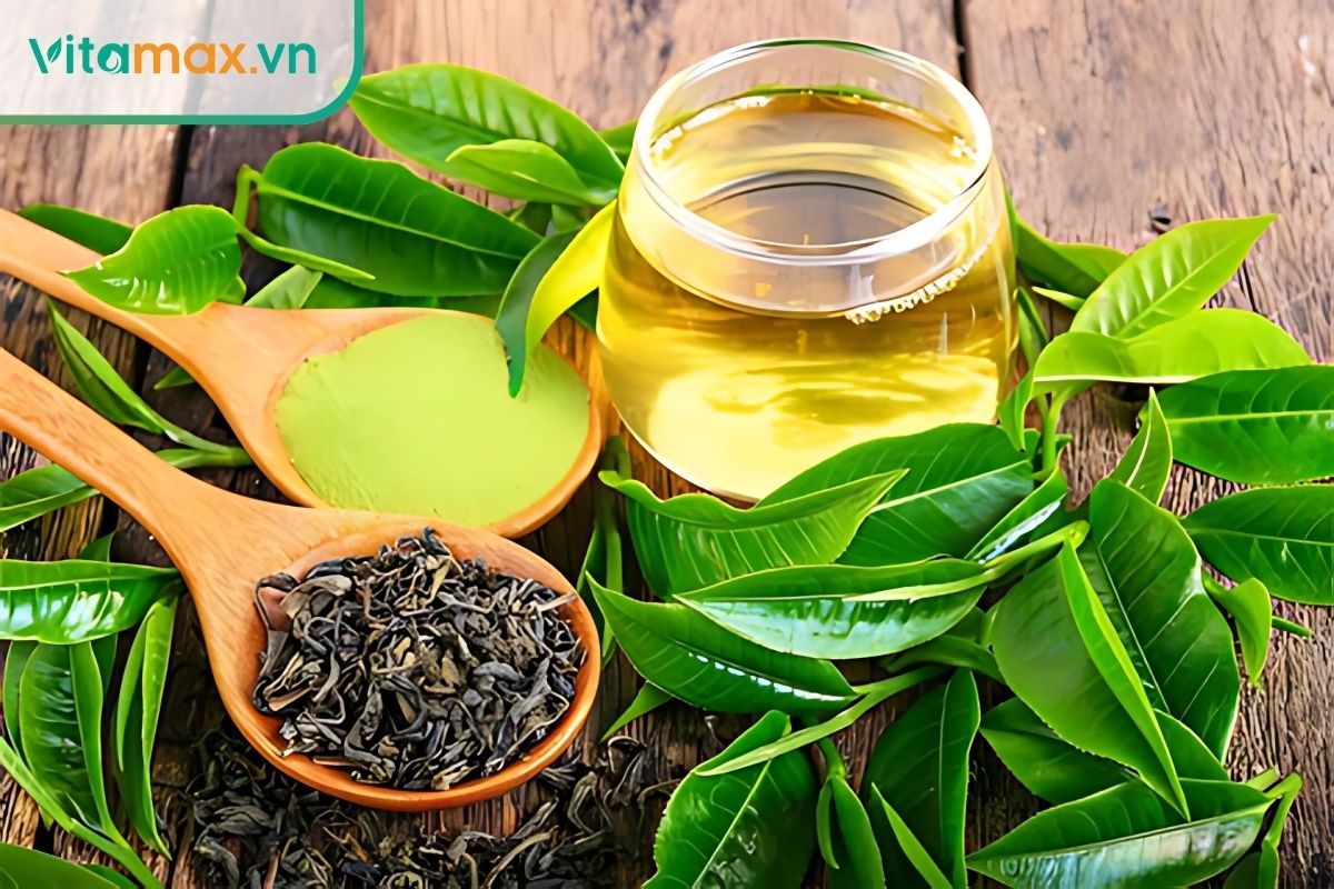 Sức mạnh chống oxy hóa từ trà xanh giúp giảm viêm và bảo vệ sức khỏe thận toàn diện.