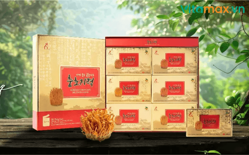 tác dụng của đông trùng hạ thảo với đàn ông