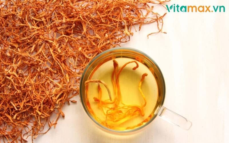 tác dụng của đông trùng hạ thảo với táo đỏ