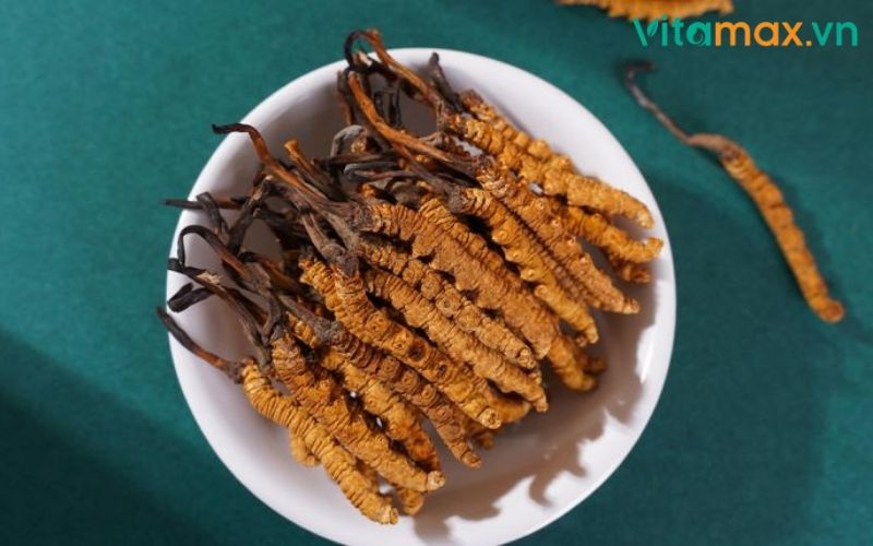 tác dụng của đông trùng hạ thảo với trẻ em